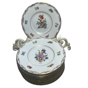 Vintage saucer set of 9 floral plates Dresden